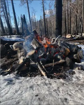  ?? PHOTOS COURTESY OF SEQUOIA NATIONAL FOREST ?? Progress was made in the prescribed burn in the Wheel Meadow and Mcintyre Groves on Wednesday.