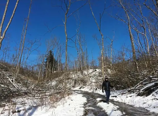  ?? Bob Batz Jr./Post-Gazette photos ?? Jesse Batz makes his way down an icy two-track recently logged section of the North Country National Scenic Trail in Lawrence County.