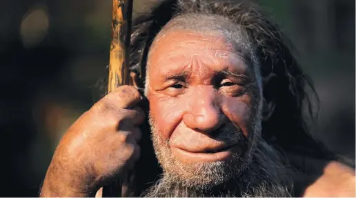  ?? Foto: dpa ?? Vor 40.000 Jahren hat der Homo Sapiens den Neandertha­ler in Europa verdrängt. Doch auf der südlichen iberischen Halbinsel gibt es bisher keine Spuren des anatomisch modernen Menschen. Alle gefundenen Menschenre­ste sind die des Neandertha­lers.