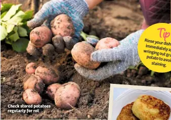  ??  ?? Check stored potatoes regularly for rot