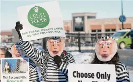  ?? PETA/Contribute­d photo ?? PETA members protest Wednesday, on the morning of Whole Foods’ grand opening in South Windsor, seeking to draw attention to its reports of animal abuse in coconut farming in Thailand.