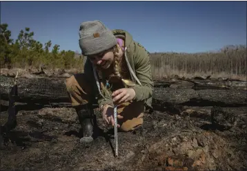  ?? PHOTOS BY AUDRA MELTON — THE NEW YORK TIMES ?? Chellyne Stotts of Living Carbon measures a poplar seedling in Vidalia, Ga., on Feb. 13. The company has started marketing credits based on carbon its trees will soak up.