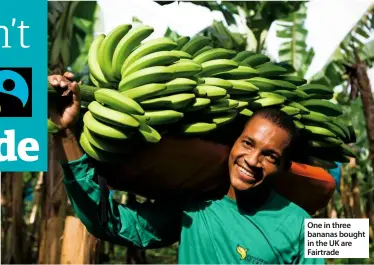  ??  ?? one in three bananas bought in the Uk are Fairtrade