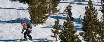  ?? Tribune News Service/the Sacramento Bee ?? Four snowboarde­rs make their way through trees at Heavenly Mountain Resort in Tahoe on Feb. 10.