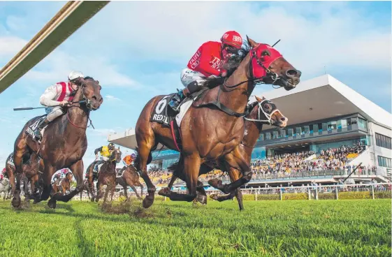  ?? Picture: RACING QUEENSLAND ?? Champion Sydney sprinter Redzel takes out the Doomben 10,000 last year.