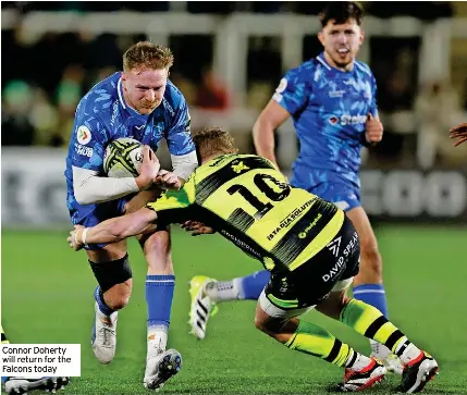 Improving Falcons out to end the year in style - PressReader