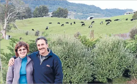  ??  ?? Starting over: Farmer Yanni Eleftherid­is and wife Caroline were given the opportunit­y to go back sharemilki­ng after a three-year break.