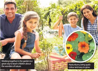  ??  ?? Working together in the garden is a great way to teach children about the wonders of nature Nasturtium­s, bring quick colour and easy to grow