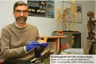  ??  ?? El investigad­or del CSIC Antonio Rosas posa con una mandíbula neandertal (foto: Andrés Díaz / CSIC Comunicaci­ón).
