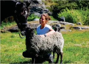  ??  ?? Hästarna och fåren trivs ihop och Johanna Johander stortrivs med den livsstil det innebär att ta hand om djur och natur.