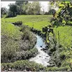  ?? JO ANN GOLDWATER/LES AMIS DE MEADOWBROO­K ?? The city argues that the solution is not turning the Meadowbroo­k creek into a sewer but rather fixing the crossed sewer and storm-water pipes.