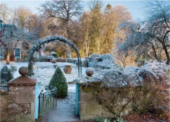  ??  ?? EINLADEND Wenn die Natur im Winter schläft, rücken Elemente wie Rankbogen und Gartentor in den Mittelpunk­t.