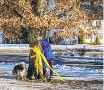  ?? DAVE COLLINS AP ?? Gayle Carr, acting warden of Litchfield, Conn., removes a yellow ribbon from a tree Thursday honoring U.S. service members.