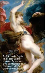  ??  ?? En forma de águila, el dios Júpiter rapta a Ganimedes. La aljaba y la metáfora, de Pedro Pablo Rubens.