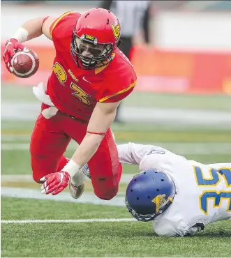  ?? CRYSTAL SCHICK ?? Saturday’s matchup will mark the Dinos’ 10th consecutiv­e appearance in the Hardy Cup. The No. 4-ranked squad will take on the No. 6-ranked Thunderbir­ds in this battle for Canada West bragging rights.