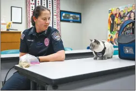  ?? (River Valley Democrat-Gazette/Caleb Grieger) ?? Pawfficer Fuzz and Shoptaw sit in a room Wednesday at the Fort Smith Police Department.