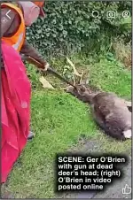  ?? ?? SCENE: Ger O’Brien with gun at dead deer’s head; (right) O’Brien in video posted online
