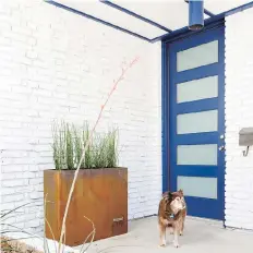  ??  ?? A bold blue door set against crisp white creates a cheerful atmosphere.