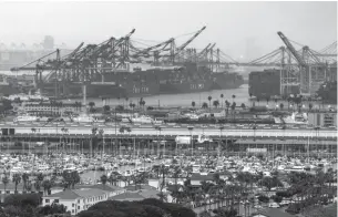  ?? Associated Press ?? ■ Container cargo ships are seen docked March 3 in the Port of Los Angeles. A trade bottleneck born of the COVID-19 outbreak has U.S. businesses waiting for shipments from Asia while, off the coast of California, dozens of container ships have been anchored, unable to unload their cargo.