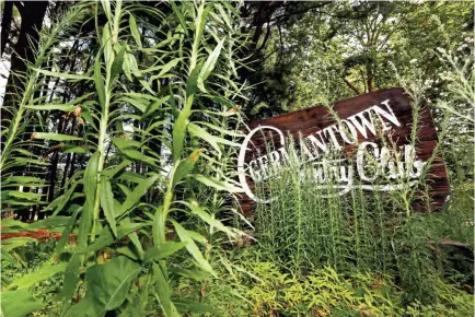  ?? JOE RONDONE/THE COMMERCIAL APPEAL ?? Overgrowth covers the sign at the Germantown Country Club on Wednesday, July 8, 2020. The course permanentl­y closed last year.