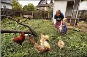  ?? CHARLIE NEIBERGALL / ASSOCIATED PRESS ?? Tanya Keith, of Des Moines, Iowa, and her daughter Iolana feed their chickens in the backyard of their home.