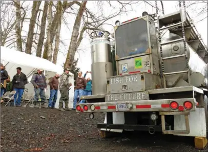  ?? The Associated Press ?? FISH FOR THE FUTURE: A water tanker truck holding hundreds of baby coho salmon arrives at the Lostine River on Thursday in Wallowa County, Ore., after a 300-mile journey from a hatchery and prepares to release the fish into the water as a crowd looks...