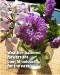  ??  ?? Weather-ba ered flowers are bought indoors for the vase