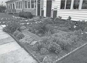  ?? PHOTOS BY JULIA RUBIN/AP ?? A rowhouse in New Rochelle, N.Y., has a front yard full of flowers and other plants, while neighborin­g houses have lawns of grass. Many people are converting parts of their lawns into planting beds for a variety of flowers, perennials and edible plants.