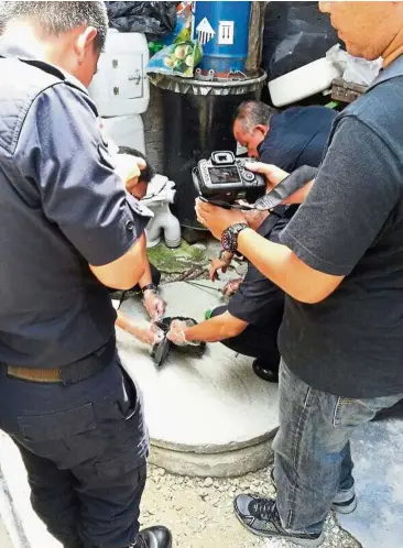  ??  ?? Explosive find: A team from the Bukit Aman Bomb Squad defusing the IED discovered at a house in Kampung Melayu, Sungai Buloh.