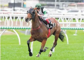  ?? Photo / Grant Peters ?? Tutukaka wins the Listed Life Member Stakes at Eagle Farm.