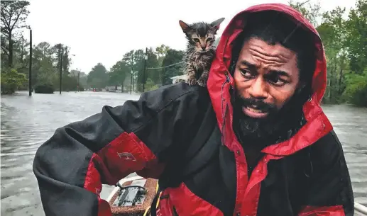  ?? - Associated Press/The News & Observer: Andrew Carter ?? Robert Simmons fils et son chaton Survivor ont été évacués de leur demeure, vendredi, à New Bern, en Caroline du Nord.