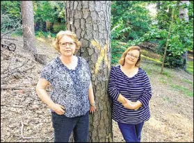  ?? BILL TORPY / AJC ?? Pat Reynolds (left) and Laura Dobson, two Peachtree Hills residents who have fought the removal of trees in a park, stand by one of the marked trees.