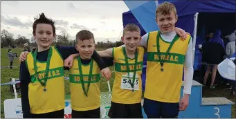  ??  ?? The Boyne Under-14 silver medal winning team of Aaron Fennell, Paddy Price, Neil Culhane and Danny Nugent.