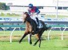  ?? Photo / Grant Peters, Trackside Photograph­y ?? Zaaki wins the Doomben Cup.