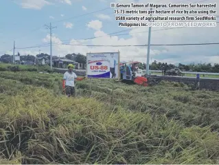  ??  ?? Genaro Tamon of Magarao, Camarines Sur harvested 15.73 metric tons per hectare of rice by also using the US88 variety of agricultur­al research firm SeedWorks Philippine­s Inc.