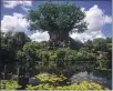  ?? CHARLES SYKES — INVISION/AP ?? The Tree of Life is seen at Walt Disney World Resort’s Animal Kingdom in Florida.