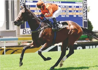  ??  ?? GOOD BET. Dressed To Impress, who runs in Race 6 at Turffontei­n today, is Piere Strydom's best bet on the card.