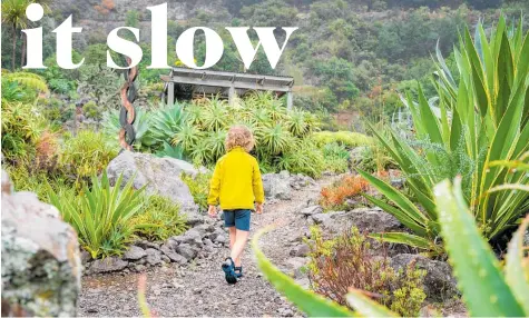  ?? Photo / Supplied ?? Tangled trails through lush gardens at Te Puna Quarry Park.