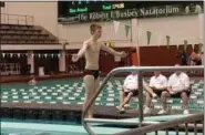  ?? CHRIS LILLSTRUNG — THE NEWS-HERALD ?? University’s Michael Holtz competes at the Division II Cleveland State District diving competitio­n Feb. 13.