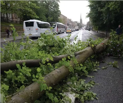  ?? Picture: Jamie Simpson ?? „ A fallen tree brought down by yesterday’s high winds caused traffic disruption to Glasgow’s Great Western Road.