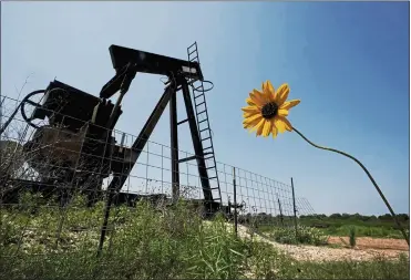  ?? ERIC GAY — THE ASSOCIATED PRESS FILE ?? A wildflower blows in the wind near an old pump jack on Molly Rooke’s ranch Tuesday near Refugio, Texas. Oil and gas drilling began on the ranch in the 1920s, and there were dozens of orphaned wells that needed to be plugged for safety.