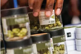  ?? City. Photograph: Eduardo Muñoz/Reuters ?? A worker organizes cannabis flowers at the first legal recreation­al marijuana dispensary in New York