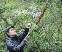  ?? JOHN MAHONEY ?? Biocyclett­e clients can sign up for hedge trimming and other garden services. As of June 13, manager Alex Pettem will also begin vegetable basket deliveries — by bike, right to the client’s door. “Our business is mostly word of mouth,” Pettem says.