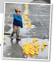 ??  ?? Stuck in a rut: Steeple Aston residents filled pothole puddles with ducks to highlight the poor state of the roads