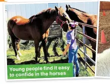  ??  ?? Young people f ind it easy to confide in the horses