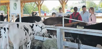  ??                                ?? A new livestock shelter behind the Kings Mutual Century Centre in Berwick was opened during 4-H Achievemen­t Days Aug. 5.