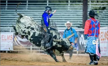  ?? PHOTO DAN LESOVSKY (WEASEL LOADER PHOTO) ?? Ky Hamilton performs in the bull-riding competitio­n at this weekend’s Cattle Call Rodeo in Brawley.