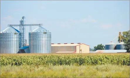  ?? Photo: Emmency Nuukala ?? Towards food security… Silos at the Shadikongo­ro green scheme in the Kavango East region.