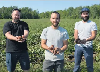  ??  ?? Les trois piliers de Proculteur : Guillaume Allyson ainsi que Samuel et Gabriel Richard.