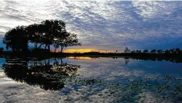 Sabine Ranch natural habitat here to stay - PressReader